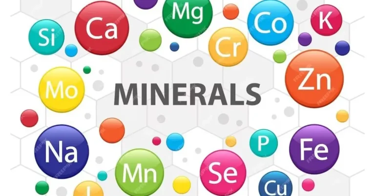 Essential Vitamins and Minerals Explained | Complete Health Guide essential vitamins and minerals explained complete health guide