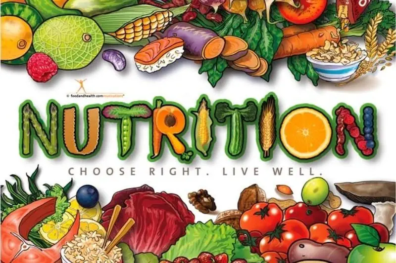 why is healthy eating important
